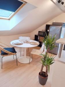 Appartements STUDIO TERRASSE : photos des chambres