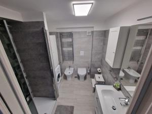 Apartment mit 1 Schlafzimmer