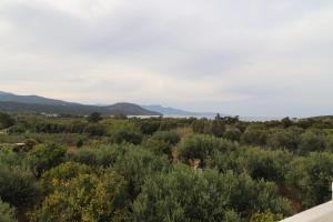 Villa Aristea
