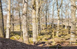 2 Bedroom Nice Apartment In Holmsjö