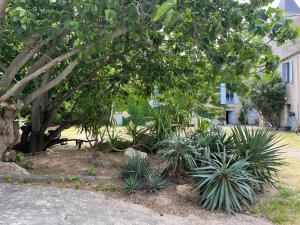 Maisons de vacances SCI Domaine Saint Martin le grand : photos des chambres