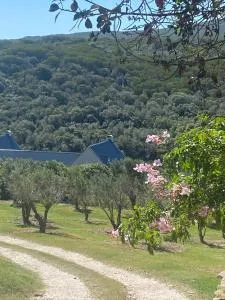 Long Thin Farm - Riethuiskraal