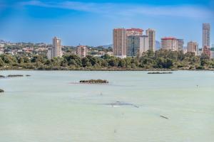 Apartment EntreDosAguas