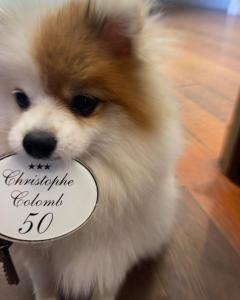 Hotels Hotel Restaurant Christophe Colomb : photos des chambres