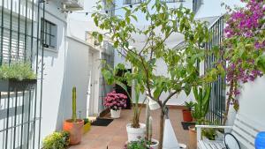 Moderno Apartamento junto a la Playa