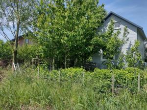 Tuinhuisje in het groen