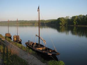 Maisons d'hotes La Bateliere sur Loire : photos des chambres