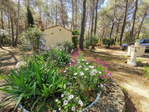 Maisons de vacances Maisonnette en pleine nature : photos des chambres