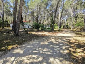 Maisons de vacances Maisonnette en pleine nature : photos des chambres