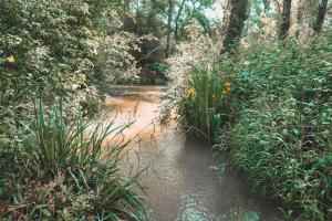 Maisons de vacances Moulin a eau et sa riviere ideal grand groupe : photos des chambres