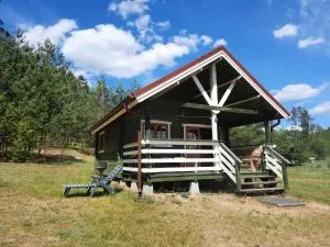 Zielony domek na Kaszubach - Dziemiany