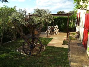 Appartements Gite L olivier : photos des chambres