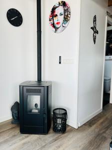 Houseboat in Amsterdam 6-pax