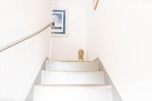 Verzasca Lodge Carlotta