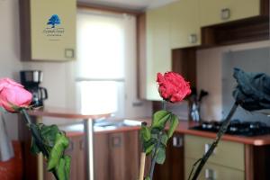 Mobilhome «Aux Portes du Soleil»