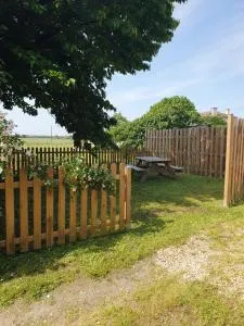 FLEUR DE VIGNE - Fronsac