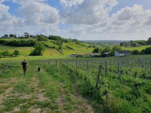 Sejours a la campagne FLEUR DE VIGNE : photos des chambres