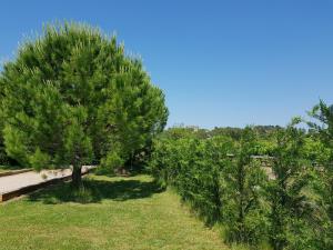 Maisons de vacances A l'ombre d'un olivier gite Syrah : photos des chambres