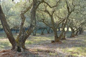 Sejours a la campagne Domaine de la Bastide Basse : photos des chambres