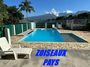 Zoiseaux Pays - Ligne des Bambous