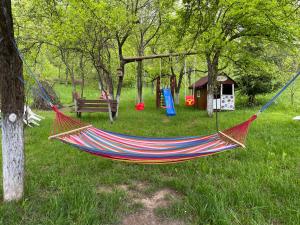 Casa Titiana Suncuius