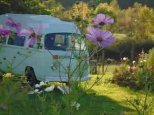 Campings la Tiny dans la prairie : photos des chambres