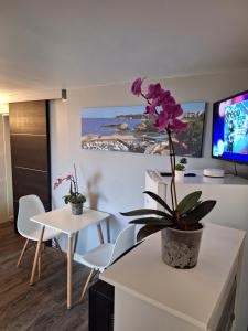 Appartements Les Tourtereaux : photos des chambres