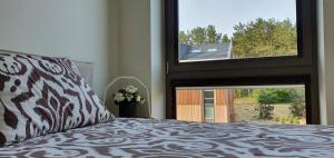 Apartamentas Plunksna