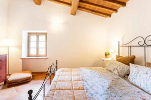 Olive House Tuscany - Zona Pisa