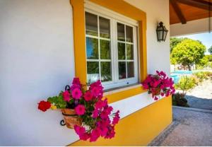 Farmhouse Sleeps 8 with Pool & Horses