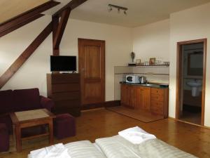 Apartment room in Dům U Jelena