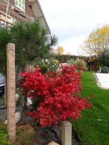 Sejours chez l'habitant Chalet Norev : photos des chambres