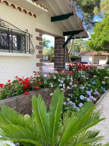 Villa de charme avec piscine à 500m des plages