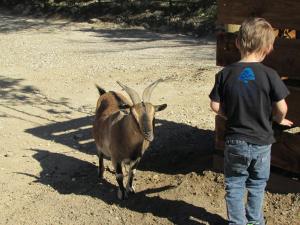 Campings Mobilhome «Aux Portes du Soleil» : photos des chambres