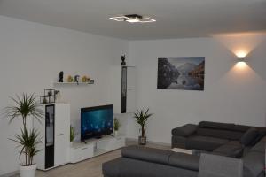 House Under The Maple Tree