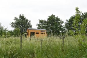 Campings la Tiny dans la prairie : Chalet