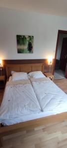 B&B / Chambres d'hotes Chambre d'hotes de la tulipe : photos des chambres