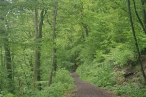 Oma Lina Haus - 4 SZ 2 Bäder großer Garten und Infrarot-Sauna