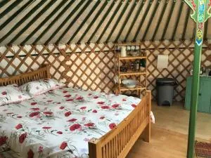 Higher Trenear Farm Yurts - Wendron
