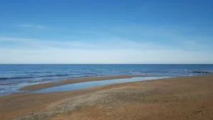 Beau 2 pieces récent a 5 m de la plage - 佩德雷尔