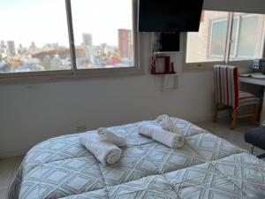 plaza serrano corazon