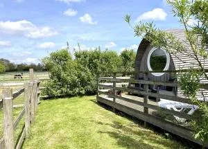 Armadilla 3 at Lee Wick Farm Cottages & Glamping - 布赖特灵西