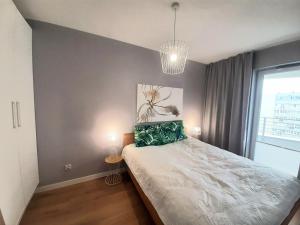 Apartament Luizy