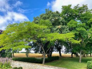 Maisons d'hotes Le Domaine de la Gravette : photos des chambres