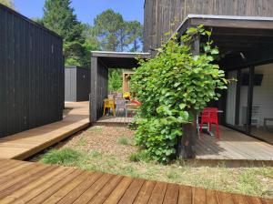 Appartements Eco-lodges Lacanau Moutchic Inn - 4 pers : photos des chambres