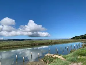 apartment Taperini - Lucija