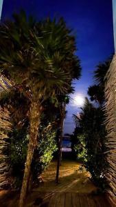 TULUM Beachfront Villa IIk