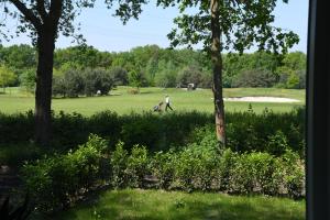 Boshuis Golfzicht "Wellness, Golf & Nature"