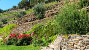 Country house Quinta da Salgueira