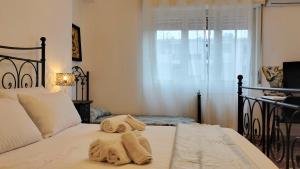 LA BARONESSA apartment- vicinissimo al policlinico